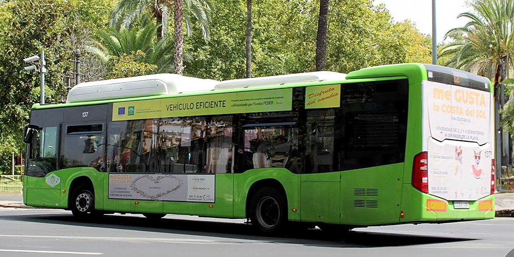 Publicidad Cordoba Autobus_TRASERA INTEGRAL_1