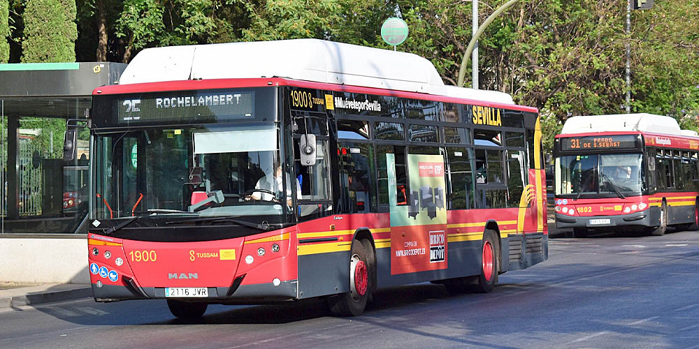 Publicidad Sevilla Autobus_GRAN LATERAL PLUS_2